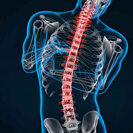 Riabilitazione della colonna vertebrale | NUBRA Medica